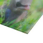 Planche À Découper Bébé Cèdre cire jeunes animaux d'oiseaux (Coin)