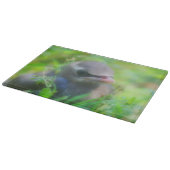 Planche À Découper Bébé Cèdre cire jeunes animaux d'oiseaux (Coin)