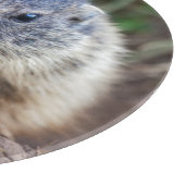 Planche à découper bébé marmotte curieuse (Coin)