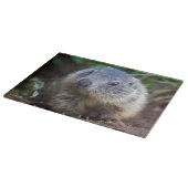 Planche à découper bébé marmotte curieuse (Coin)