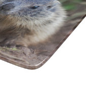 Planche à découper bébé marmotte curieuse (Coin)