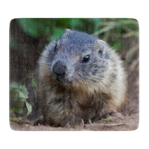 Planche à découper bébé marmotte curieuse