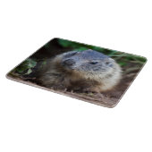 Planche à découper bébé marmotte curieuse (Coin)