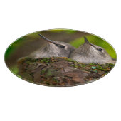 Planche À Découper Bébés colibris (Coin)