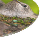 Planche À Découper Bébés colibris (Coin)