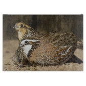 Planche À Découper Bébés de caille nordique Bobwhite à l'étang pour b (Devant)