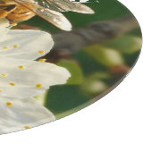 Planche À Découper Bee & Plum Blossoms: Macro Art Glass Board (Coin)