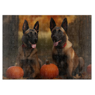 Planche À Découper Belge Malinoi Puppy Automne Citrouille de plaisir