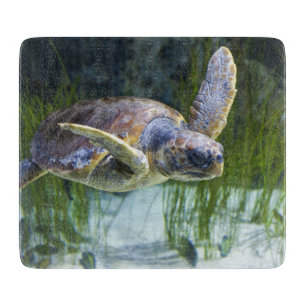 Planche À Découper Belle natation de tortue marine