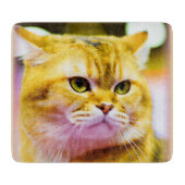 Planche À Découper Belle photo d'un mignon chat. Commandez dès mainte (Devant)