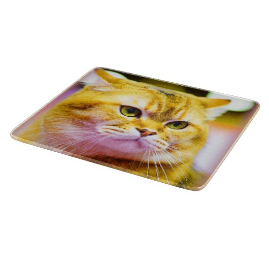 Planche À Découper Belle photo d'un mignon chat. Commandez dès mainte (Coin)