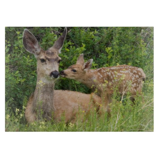 Planche À Découper Biche de cerf mulet avec faon (Devant)