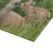 Planche À Découper Biche de cerf mulet avec faon (Coin)