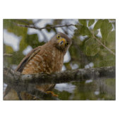 Planche À Découper Bird Wildlife, Roadside Hawk Belize (Devant)