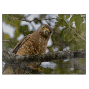 Planche À Découper Bird Wildlife, Roadside Hawk Belize
