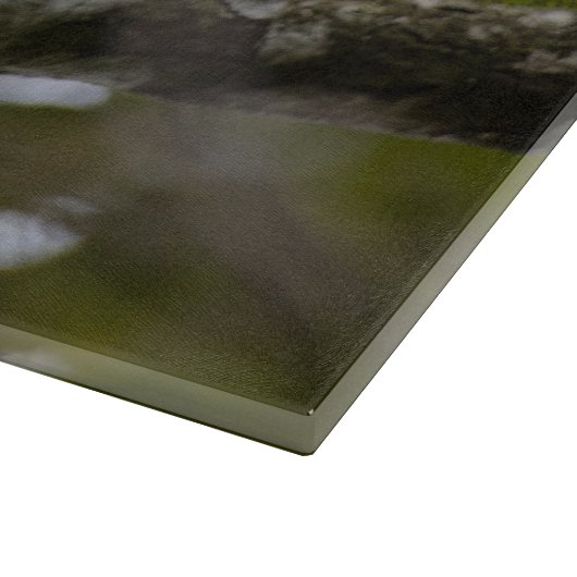 Planche À Découper Bird Wildlife, Roadside Hawk Belize (Coin)