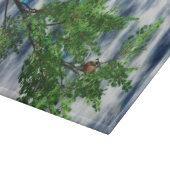 Planche À Découper Birdsnest Falls Cutting Board (Coin)