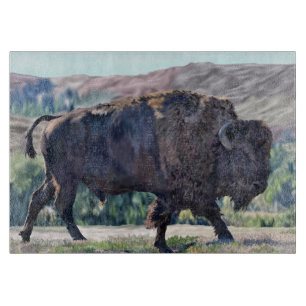 Planche À Découper Bison d'Amérique errant dans un cadre de prairie