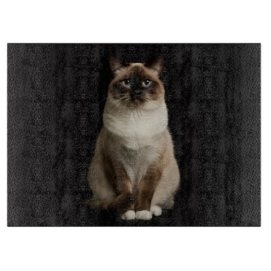 Planche À Découper Black 4 Luxe Glass cutting board Birmanese Cat (Devant)
