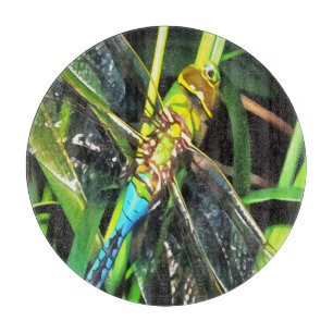 Planche À Découper Bleu Dragonfly Shimmering Wings Peinture