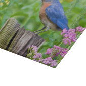 Planche À Découper Bluebird peins on fence post in flower garden (Coin)