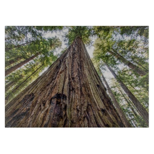 Planche À Découper Bois de Roosevelt (Devant)