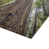 Planche À Découper Bois de Roosevelt (Coin)