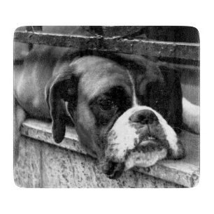 Planche À Découper Boxe Dog On Windowsill cbcn