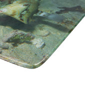 Planche À Découper Boxfish - tellement mignon ! Au-dessus d'une zone (Coin)