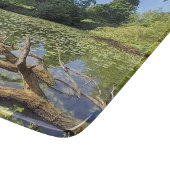 Planche À Découper Branches dans l'eau (Coin)