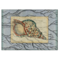 Branches des coquillages et des arbres