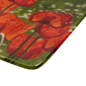 Planche À Découper Bright Poppies Close Up Photo (Coin)