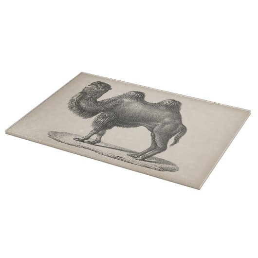 Planche À Découper Brodtmann Camel Sketch (Coin)
