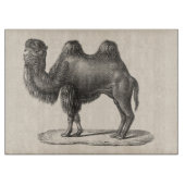 Planche À Découper Brodtmann Camel Sketch (Devant)