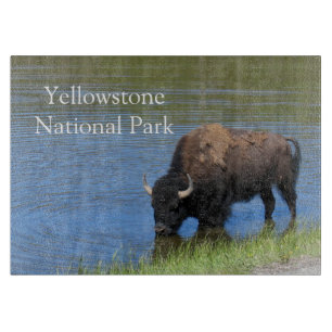 Planche À Découper Buffle sauvage de Yellowstone dans l'étang