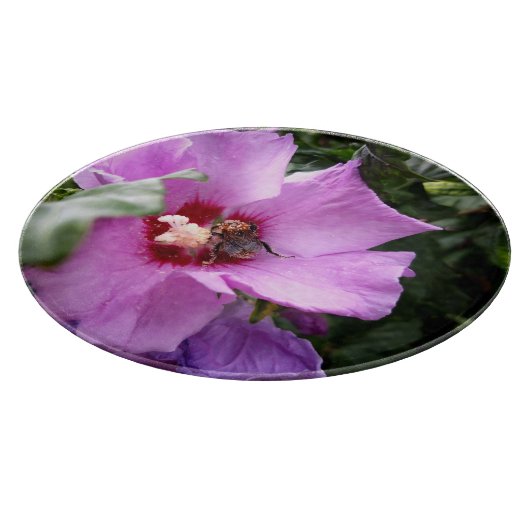 Planche À Découper Bumblebebe sur la fleur d'Hibiscus (Coin)