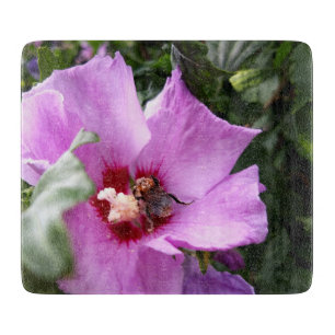 Planche À Découper Bumblebebe sur la fleur d'Hibiscus