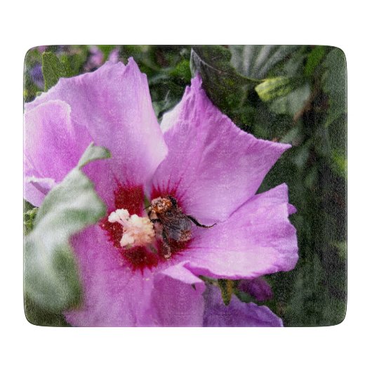 Planche À Découper Bumblebebe sur la fleur d'Hibiscus (Devant)