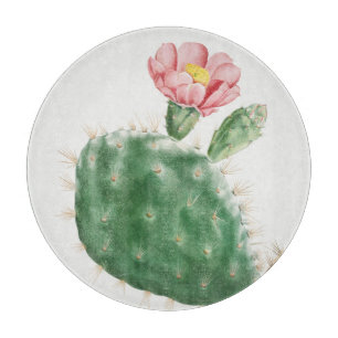 Planche À Découper Cactus Cochenillifer, Illustration Antique, 1799 