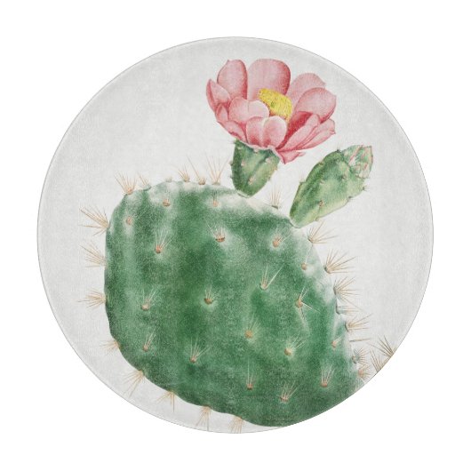 Planche À Découper Cactus Cochenillifer, Illustration Antique, 1799  (Devant)