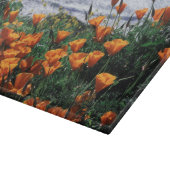 Planche À Découper Californie, Big Sur Coast, Californie Pavot (Coin)