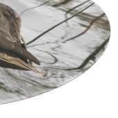 Planche À Découper Canard gris sur la nuit du lac (Coin)