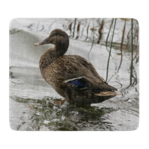 Planche À Découper Canard gris sur le lac sombre