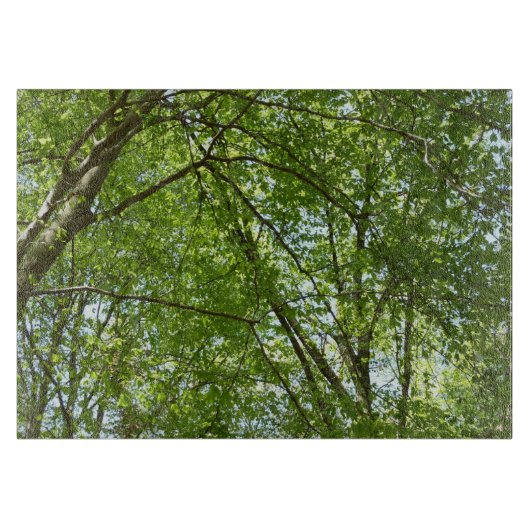 Planche À Découper Canopée du printemps Feuille Green Nature Scene (Devant)