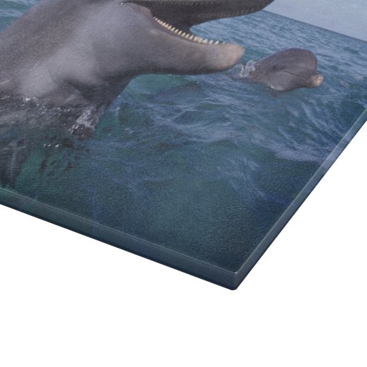 Planche À Découper Caraïbes, Bottlenose (Coin)