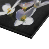 Planche À Découper Cardamine Pratensis Fleurs cbcna (Coin)