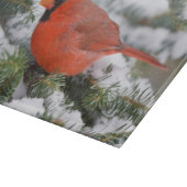 Planche À Découper Cardinal du Nord à Balsam sapin en hiver (Coin)