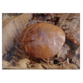 Planche À Découper Carte à découper en verre de Champignons Slipperpe (Devant)