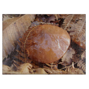 Planche À Découper Carte à découper en verre de Champignons Slipperpe