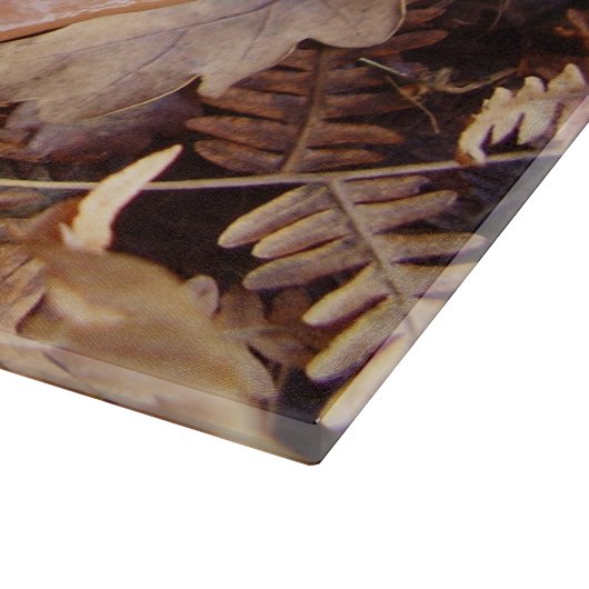 Planche À Découper Carte à découper en verre de Champignons Slipperpe (Coin)